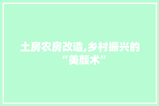 土房农房改造,乡村振兴的“美颜术”