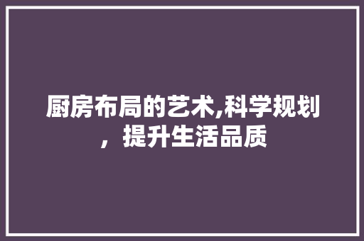 厨房布局的艺术,科学规划，提升生活品质
