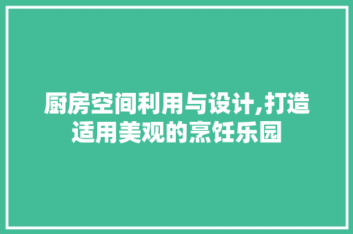 厨房空间利用与设计,打造适用美观的烹饪乐园