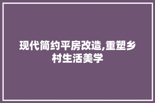 现代简约平房改造,重塑乡村生活美学