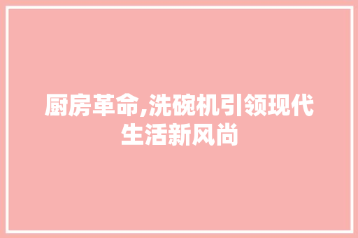 厨房革命,洗碗机引领现代生活新风尚