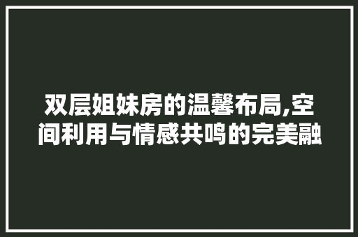 双层姐妹房的温馨布局,空间利用与情感共鸣的完美融合