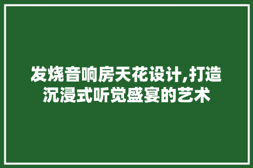 发烧音响房天花设计,打造沉浸式听觉盛宴的艺术