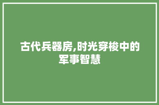古代兵器房,时光穿梭中的军事智慧