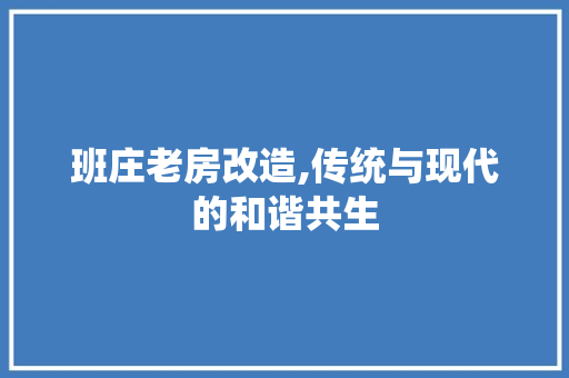班庄老房改造,传统与现代的和谐共生