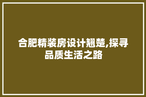 合肥精装房设计翘楚,探寻品质生活之路