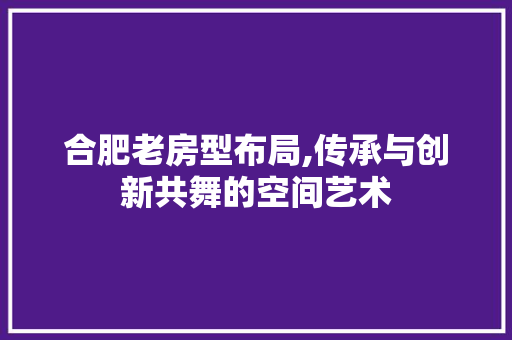 合肥老房型布局,传承与创新共舞的空间艺术