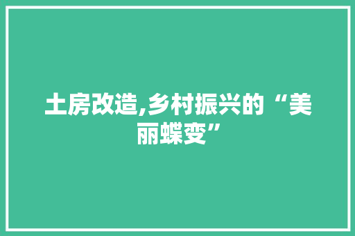 土房改造,乡村振兴的“美丽蝶变”