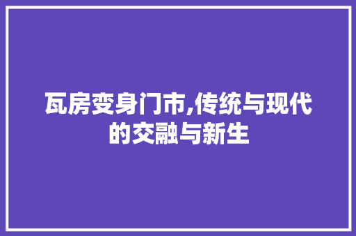 瓦房变身门市,传统与现代的交融与新生