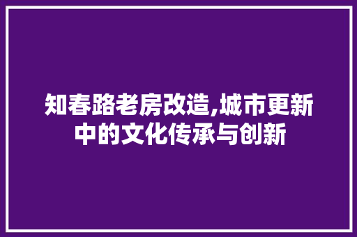 知春路老房改造,城市更新中的文化传承与创新