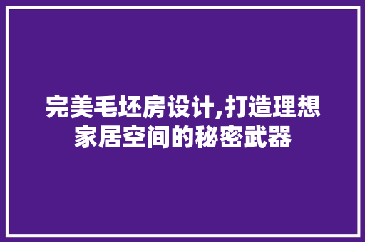 完美毛坯房设计,打造理想家居空间的秘密武器