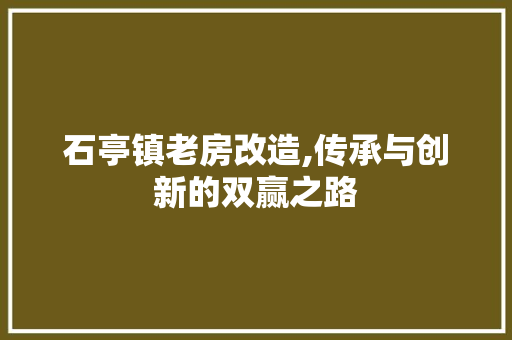 石亭镇老房改造,传承与创新的双赢之路