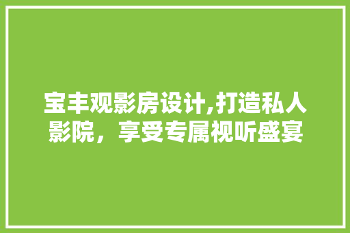 宝丰观影房设计,打造私人影院，享受专属视听盛宴