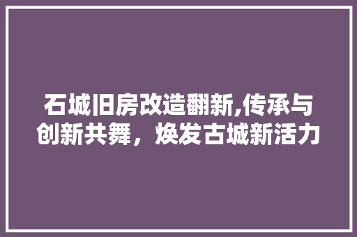 石城旧房改造翻新,传承与创新共舞，焕发古城新活力