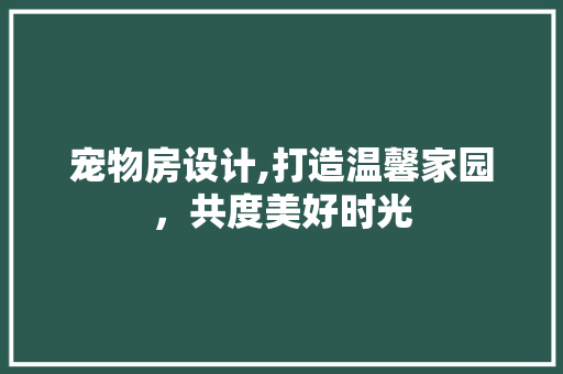 宠物房设计,打造温馨家园，共度美好时光