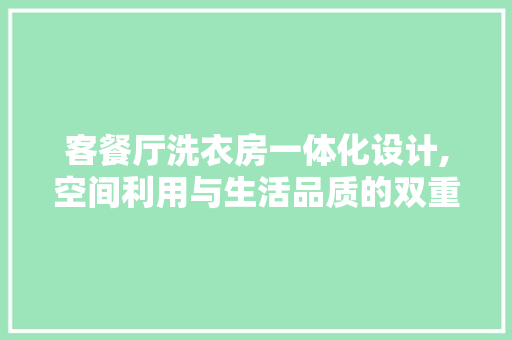 客餐厅洗衣房一体化设计,空间利用与生活品质的双重提升