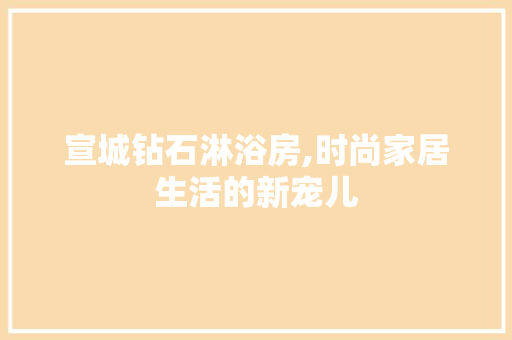 宣城钻石淋浴房,时尚家居生活的新宠儿
