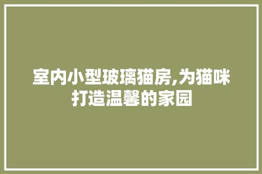 室内小型玻璃猫房,为猫咪打造温馨的家园