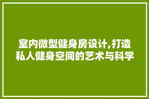 室内微型健身房设计,打造私人健身空间的艺术与科学