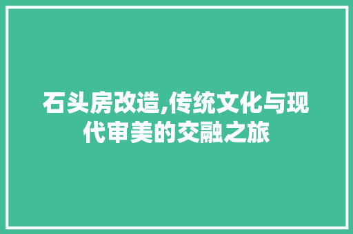石头房改造,传统文化与现代审美的交融之旅