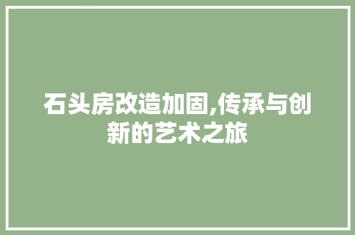 石头房改造加固,传承与创新的艺术之旅