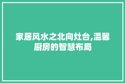 家居风水之北向灶台,温馨厨房的智慧布局
