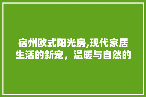 宿州欧式阳光房,现代家居生活的新宠，温暖与自然的完美融合