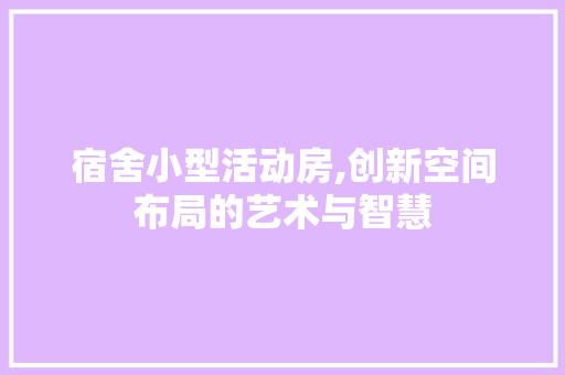 宿舍小型活动房,创新空间布局的艺术与智慧
