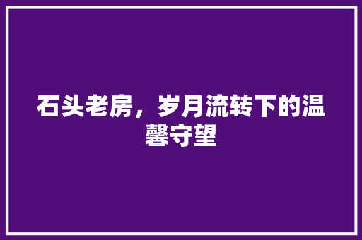 石头老房，岁月流转下的温馨守望