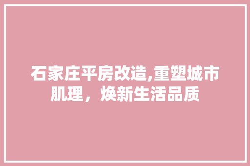 石家庄平房改造,重塑城市肌理，焕新生活品质