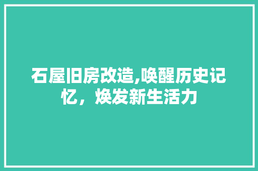 石屋旧房改造,唤醒历史记忆，焕发新生活力