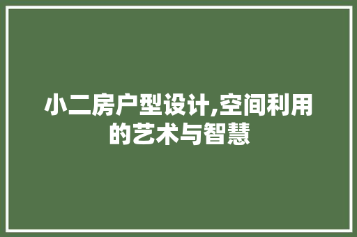 小二房户型设计,空间利用的艺术与智慧