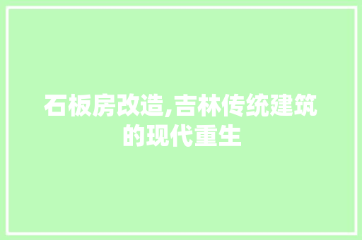 石板房改造,吉林传统建筑的现代重生