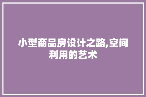 小型商品房设计之路,空间利用的艺术