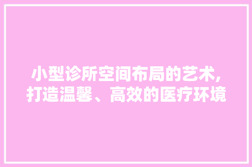 小型诊所空间布局的艺术,打造温馨、高效的医疗环境