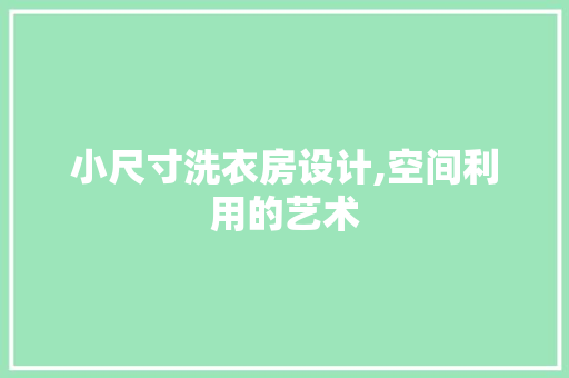 小尺寸洗衣房设计,空间利用的艺术