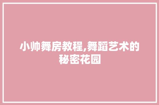 小帅舞房教程,舞蹈艺术的秘密花园