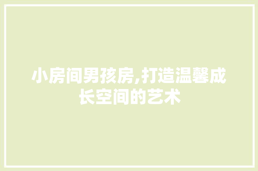 小房间男孩房,打造温馨成长空间的艺术