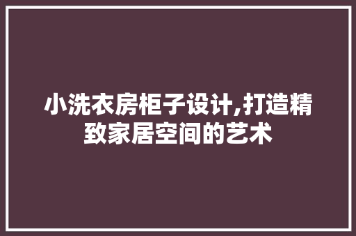 小洗衣房柜子设计,打造精致家居空间的艺术