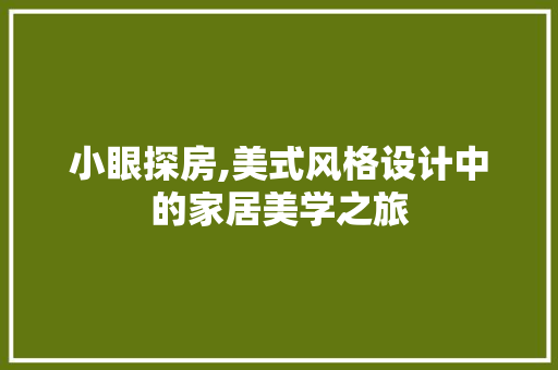 小眼探房,美式风格设计中的家居美学之旅