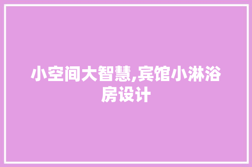 小空间大智慧,宾馆小淋浴房设计