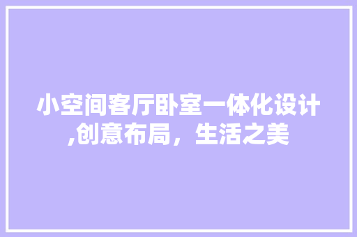 小空间客厅卧室一体化设计,创意布局，生活之美