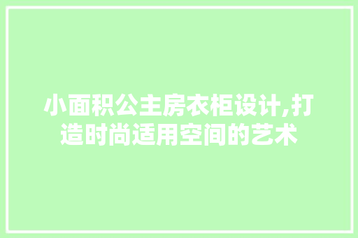 小面积公主房衣柜设计,打造时尚适用空间的艺术