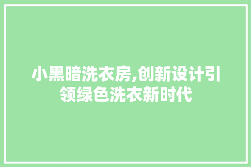 小黑暗洗衣房,创新设计引领绿色洗衣新时代