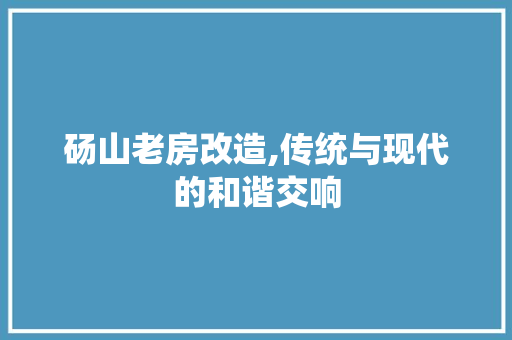 砀山老房改造,传统与现代的和谐交响