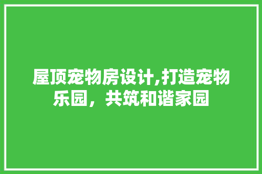 屋顶宠物房设计,打造宠物乐园，共筑和谐家园
