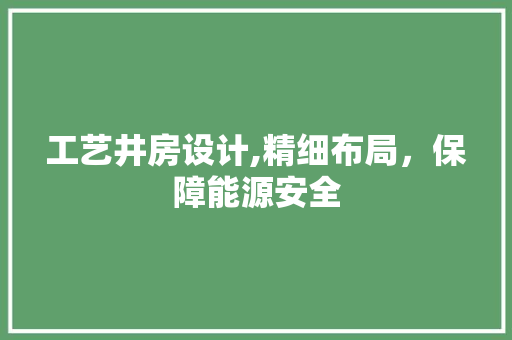 工艺井房设计,精细布局，保障能源安全