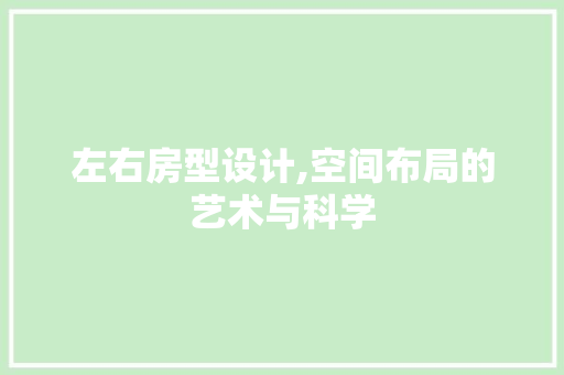 左右房型设计,空间布局的艺术与科学