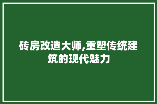 砖房改造大师,重塑传统建筑的现代魅力
