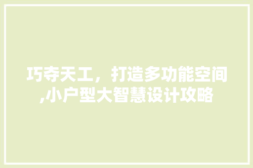 巧夺天工，打造多功能空间,小户型大智慧设计攻略